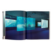 Isaac Julien exhibition book (paperback)